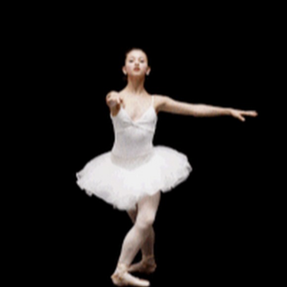 Meet your Posher, Ivy - Picture 1 of 1